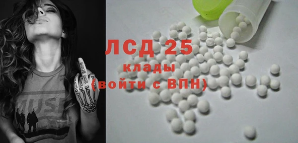 гашик Алексин