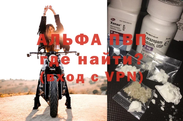 гашик Алексин