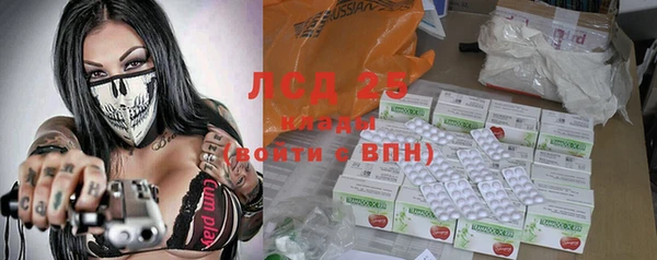 гашик Алексин