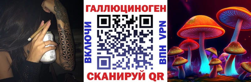 купить наркотики сайты  Аргун  Псилоцибиновые грибы GOLDEN TEACHER 